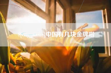 宜春中国有几块金牌啦