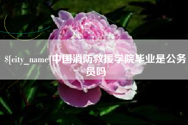 宜春中国消防救援学院毕业是公务员吗