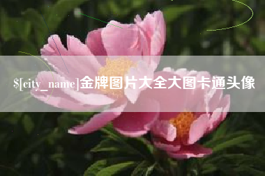 宜春金牌图片大全大图卡通头像