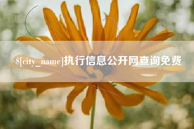 宜春执行信息公开网查询免费