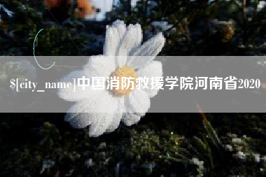 宜春中国消防救援学院河南省2020